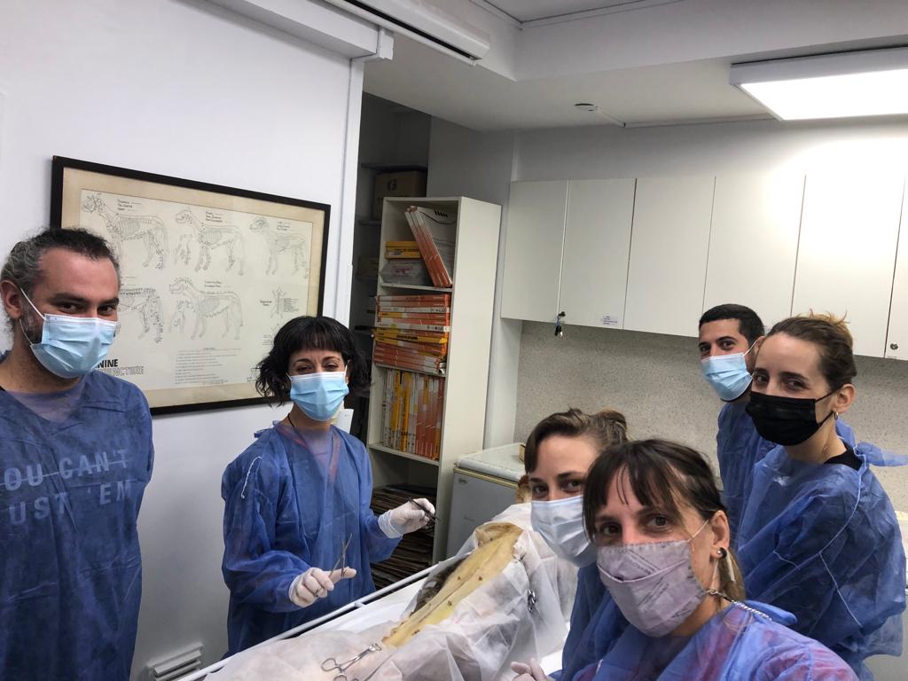 Foto Curso Cirugia General Bimodal 23-04-2022 2