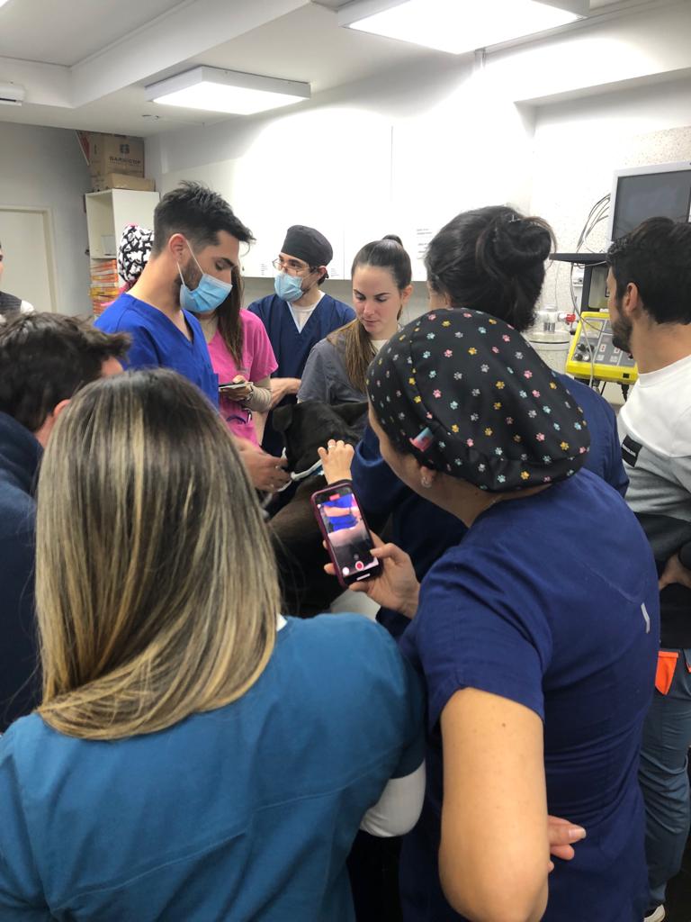 Foto Curso Anestesiología 2 - Clase 18/7/2022