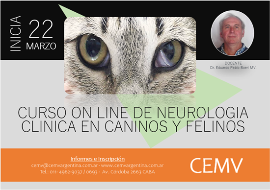 Curso Online de Neurología Clínica en Caninos y Felinos