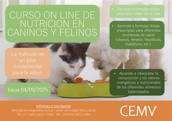 Curso Online de Nutrición Clínica en Caninos y Felinos