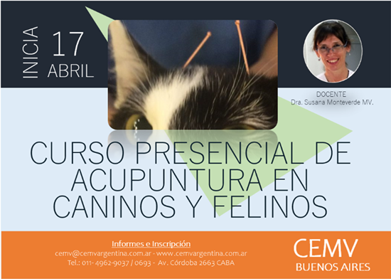 Curso Presencial de Acupuntura en Caninos y Felinos