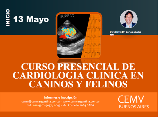 Curso Presencial de Cardiología Clínica en Caninos y Felinos