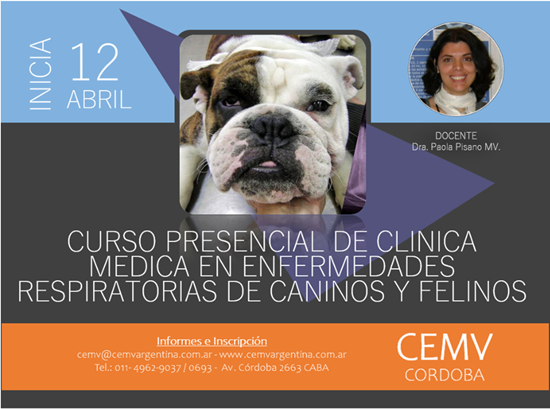 Curso Presencial de Clínica Médica en Enfermedades Respiratorias de Caninos y Felinos