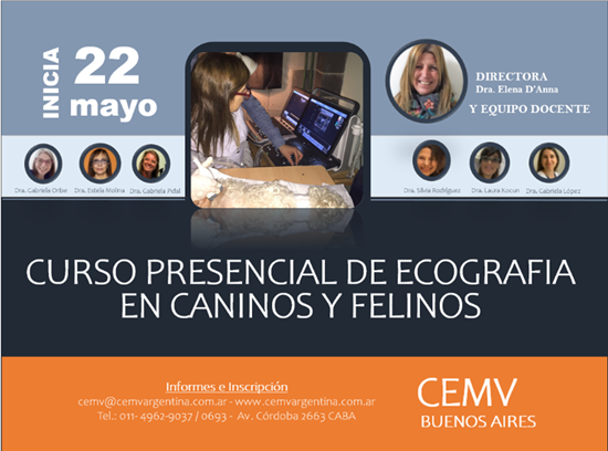 Curso Presencial de Ecografía en Caninos y Felinos