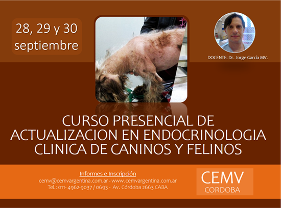 Curso Presencial de Actualización en Endocrinología Clínica de Caninos y Felinos