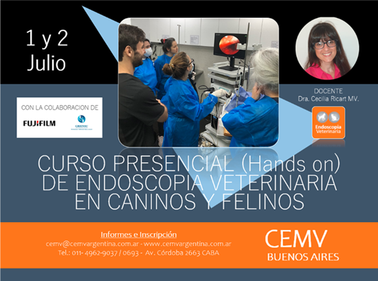 Curso Hands On de Endoscopía