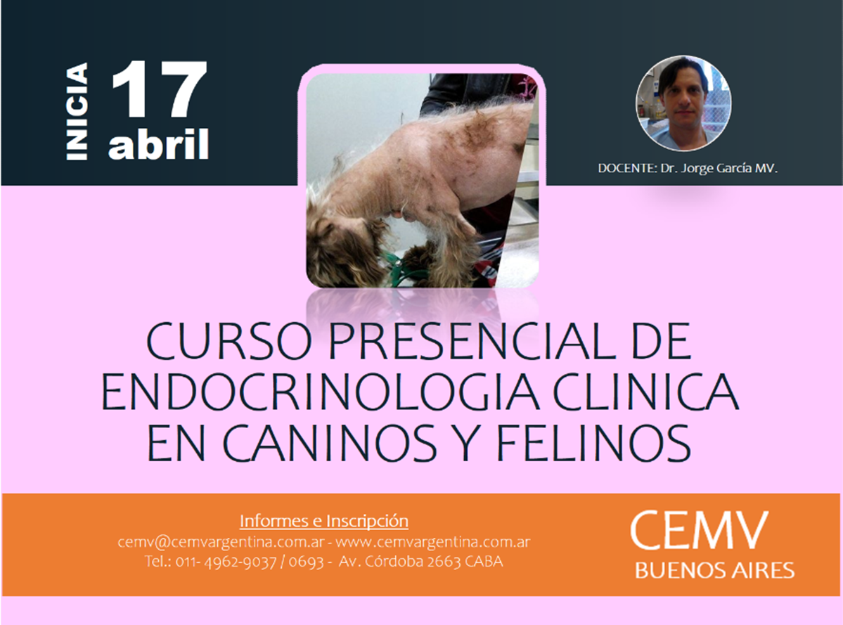 Curso Presencial De Endrocrinología Clínica En Caninos Y Felinos Cemv