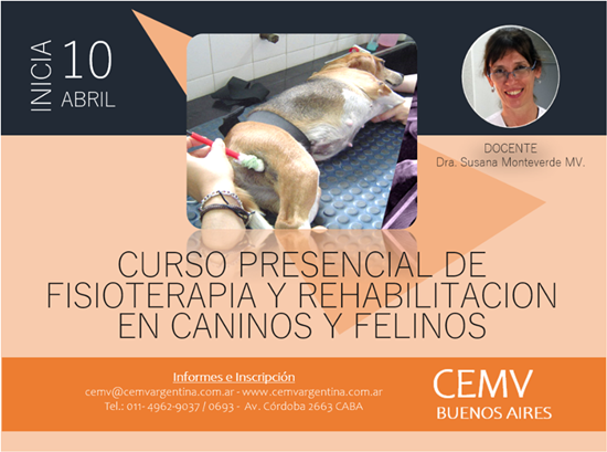 Curso Presencial de Fisioterapia y Rehabilitación en Caninos y Felinos