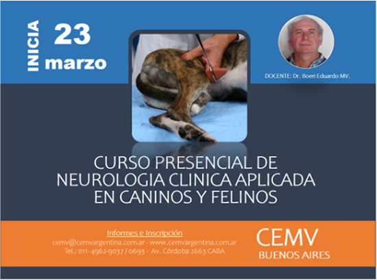 Curso Presencial De Neurología Clínica En Caninos Y Felinos Cemv