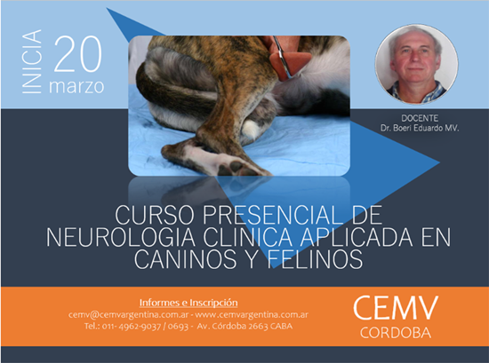 Curso de Neurología Clínica Aplicada en Caninos y Felinos