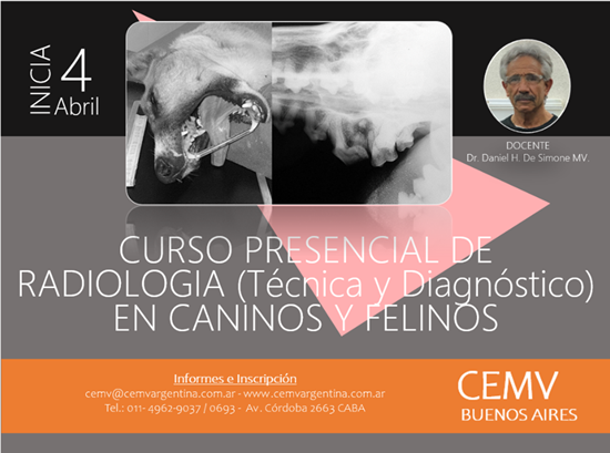 Curso Presencial de Radiología en Caninos y Felinos