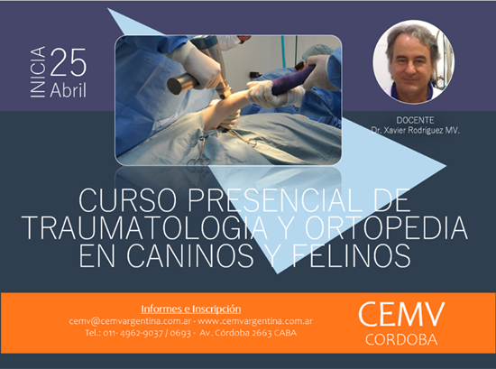 Curso Presencial de Traumatología y Ortopedia en Caninos y Felinos