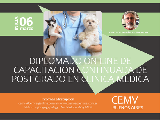 Diplomado Online de Capacitación Continuada de Posgrado en Clínica Médica