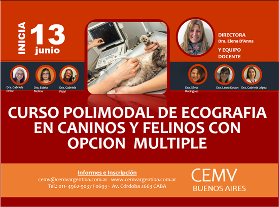 Curso Polimodal de Ecografía en Caninos y Felinos con opción múltiple