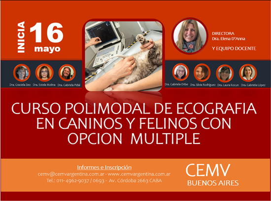 Curso Polimodal de Ecografía en Caninos y Felinos con opción múltiple