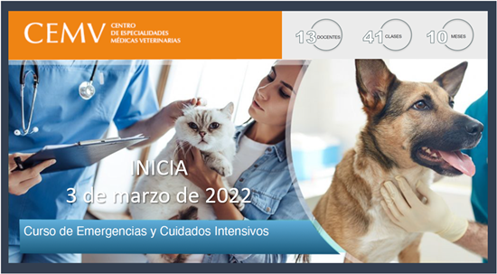 Curso de Emergencias y Cuidados Intensivos