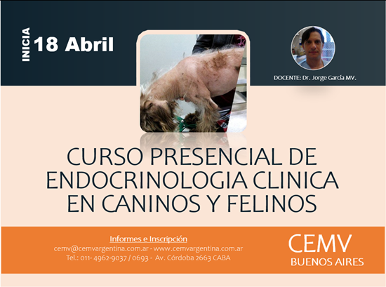 Curso Presencial de Endocrinología Clínica en Caninos y Felinos