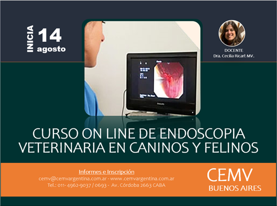 Curso Online de Endoscopía Veterinaria en Perros y Gatos