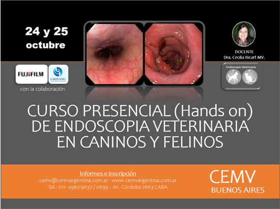Curso Presencial (Hands on) de Endoscopía en Caninos y Felinos