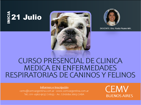 Curso Presencial de Clínica Medica en Enfermedades Respiratorias de Caninos y Felinos