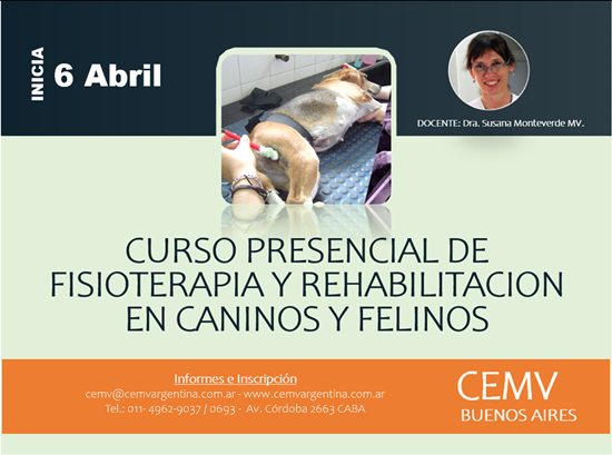 Curso Presencial de Fisioterapia y Rehabilitación en Caninos y Felinos
