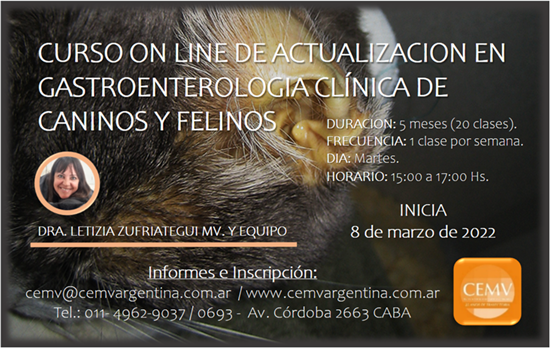 Curso Online de Actualización en Gastroenterología en Caninos y Felinos