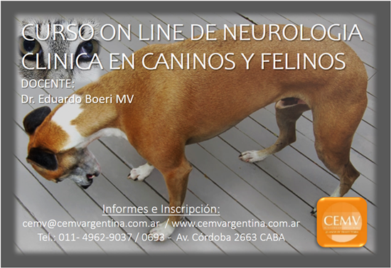 Curso de Neurología Clínica en Caninos y Felinos