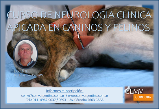 Neurología Clínica en Caninos y Felinos Cordoba