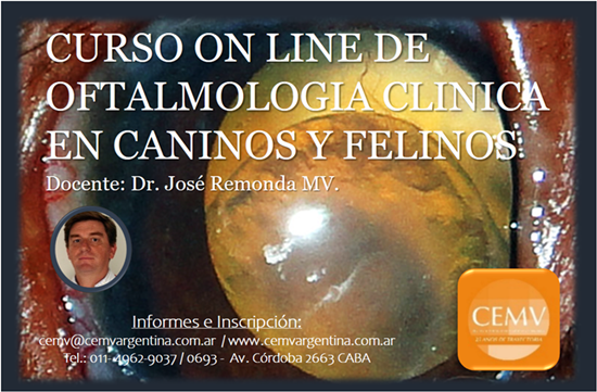 Curso Online de Oftalmología Clínica en Caninos y Felinos