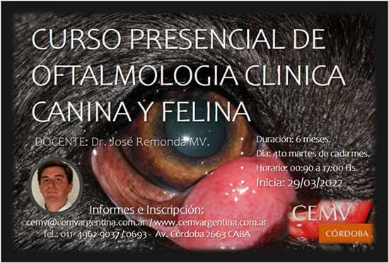 Curso Presencial de Oftalmología Clínica en Caninos y Felinos