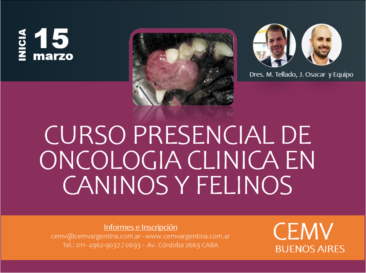 Curso Presencial De Oncología Clínica En Caninos Y Felinos Cemv Argentina